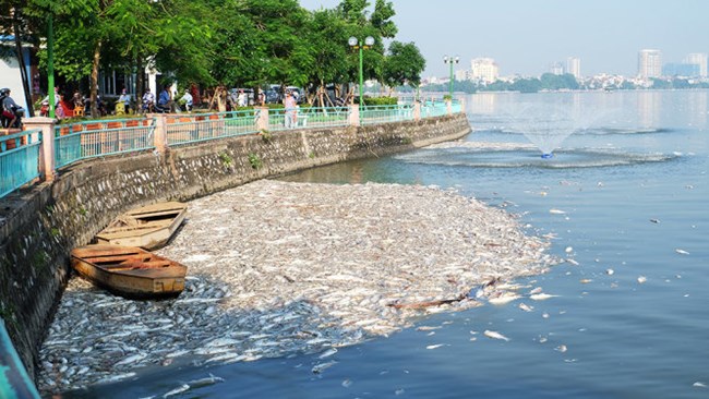 Môi trường Hà Nội sẽ ra sao khi “lá phổi” thành phố bị ô nhiễm? (04/10/2016)